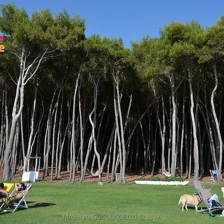 Bau Bau Beach Village Foce del Sele エクステリア 写真