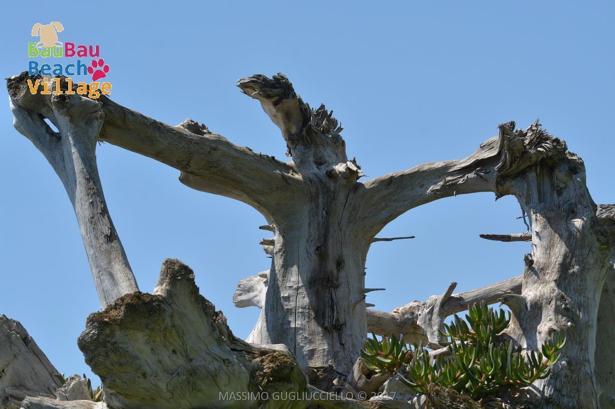 Bau Bau Beach Village Foce del Sele エクステリア 写真